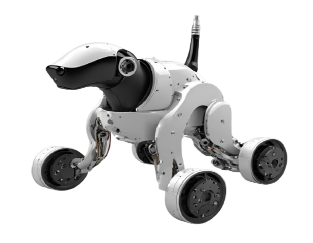 Relevant Image